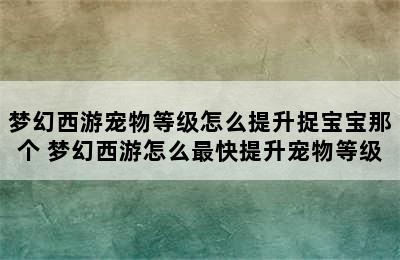 梦幻西游宠物等级怎么提升捉宝宝那个 梦幻西游怎么最快提升宠物等级